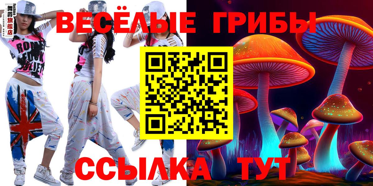 Галлюциногенные грибы Cubensis  Вход с VPN  Владимир  Псилоцибиновые грибы Cubensis 