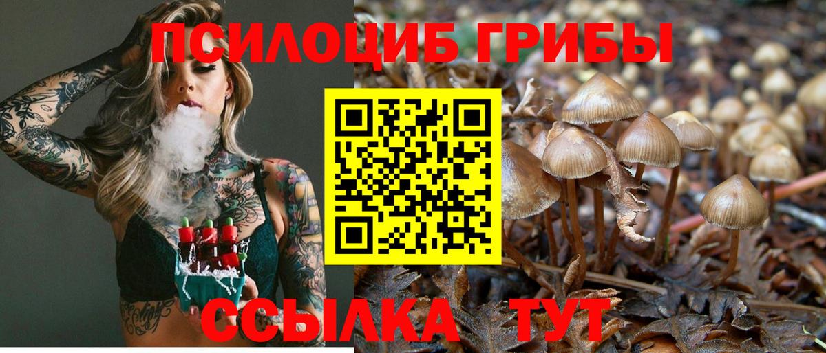 Псилоцибиновые грибы прущие грибы Владимир